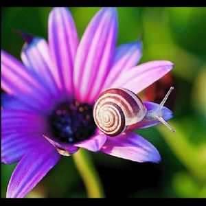 Meet your Posher, Abigail